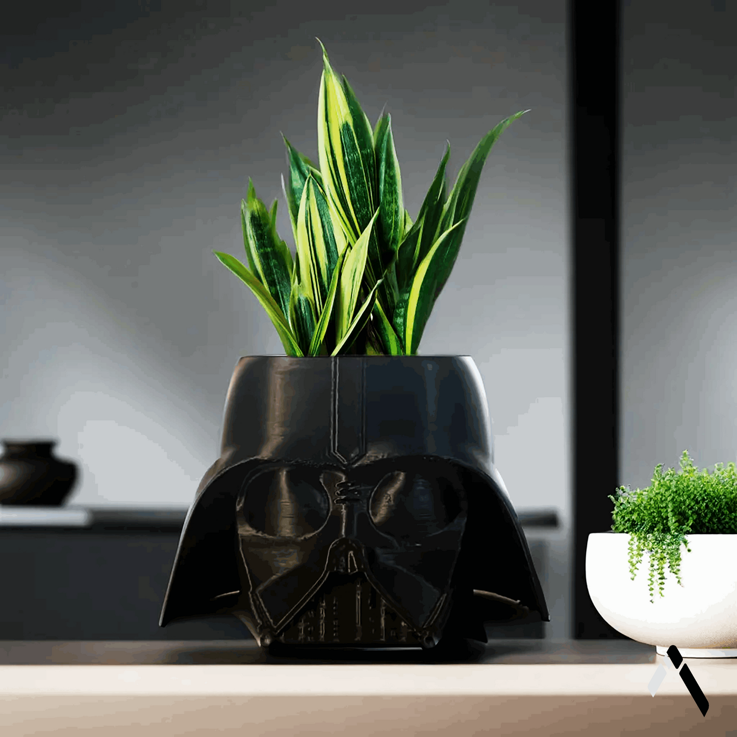 Darth Vader Planter