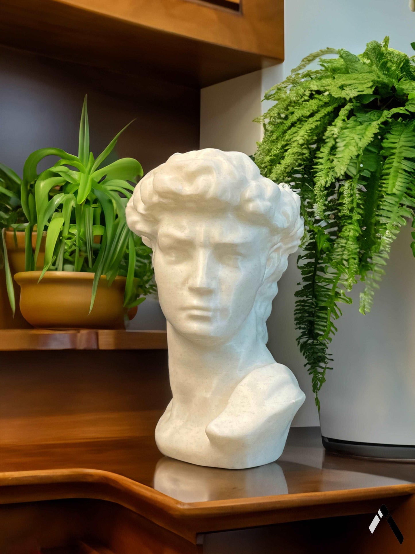 David head planter Archadia