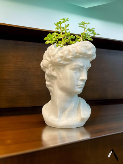 David head planter Archadia