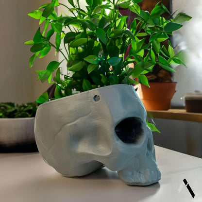 Skull Planter & Flower Vase Archadia